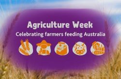 Agriculture week small banner photo