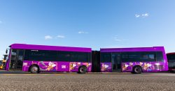 two whopping 18 metre articulated buses