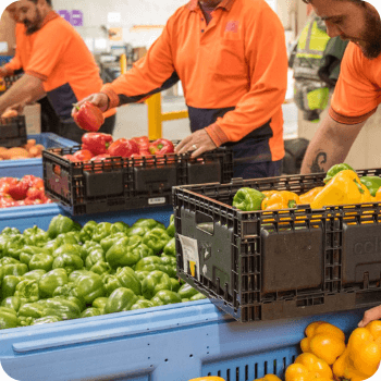 KPMG Australia : bell peppers placed in big trays