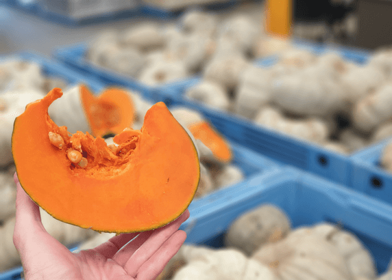 a sample slice of pumpkin from Karnet Prison Farm