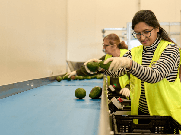 Food rescue partnerships making a bigger impact