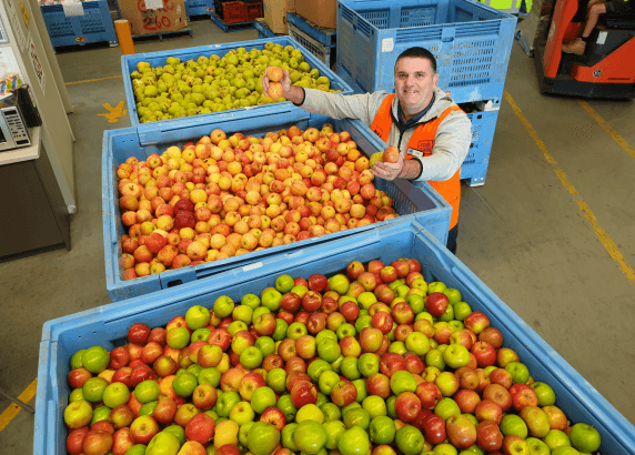 WA Foodbank WA Ways to Prevent Food Waste Image of Produce