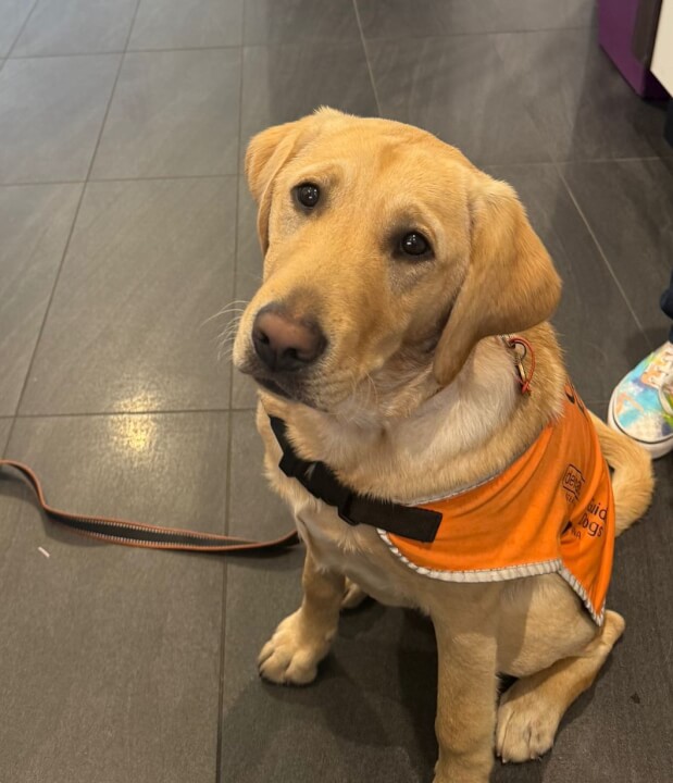 A paw-fect Partnership